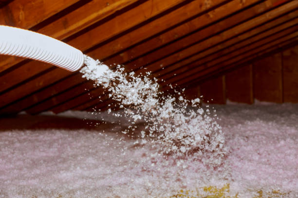 Best Home Insulation Services  in Hughesville, MD